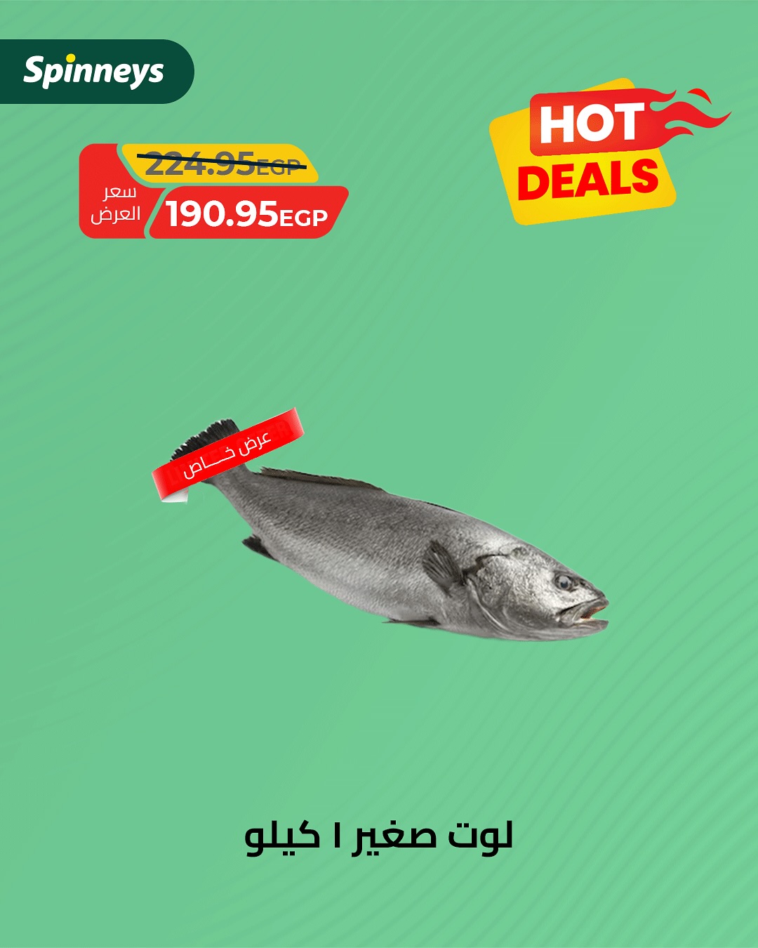 spinneys offers from 5jul to 10jun 2025 عروض سبينس من 5 يوليو حتى 10 يونيو 2025 صفحة رقم 4